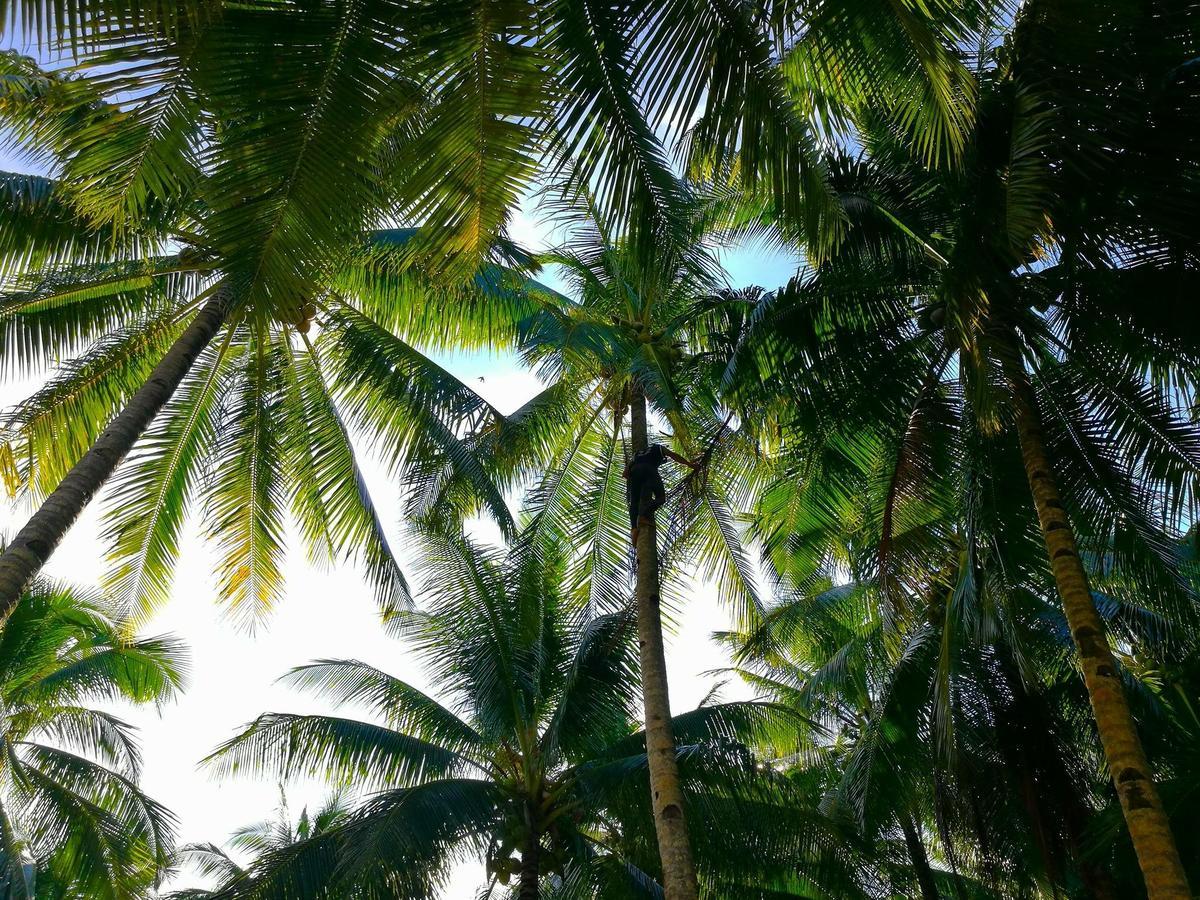Siargao Residency Lägenhet Union  Exteriör bild
