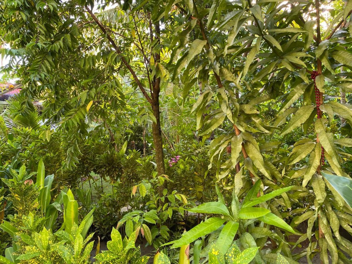 Siargao Residency Lägenhet Union  Exteriör bild